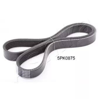 Courroie trapézoïdale à nervures ASHIKA 112-5PK875