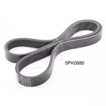 Courroie trapézoïdale à nervures ASHIKA 112-5PK880