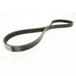 Courroie trapézoïdale à nervures ASHIKA 112-5PK885 - Visuel 1
