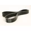 Courroie trapézoïdale à nervures ASHIKA 112-5PK885 - Visuel 2
