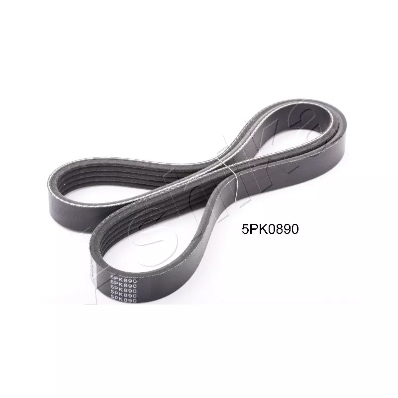 Courroie trapézoïdale à nervures ASHIKA 112-5PK890