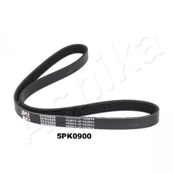 Courroie trapézoïdale à nervures ASHIKA 112-5PK900