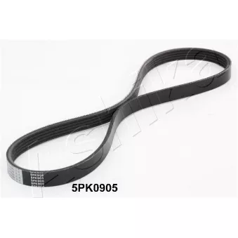 Courroie trapézoïdale à nervures ASHIKA 112-5PK905