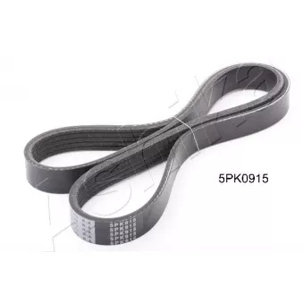 Courroie trapézoïdale à nervures ASHIKA 112-5PK915
