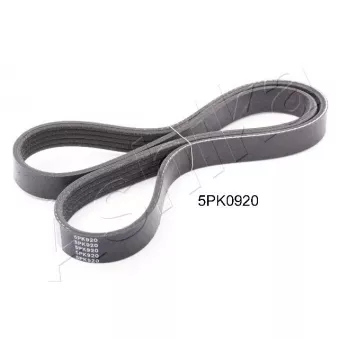 Courroie trapézoïdale à nervures ASHIKA 112-5PK920