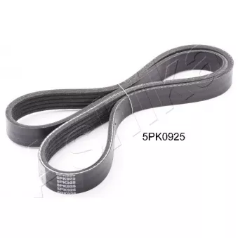 Courroie trapézoïdale à nervures ASHIKA 112-5PK925