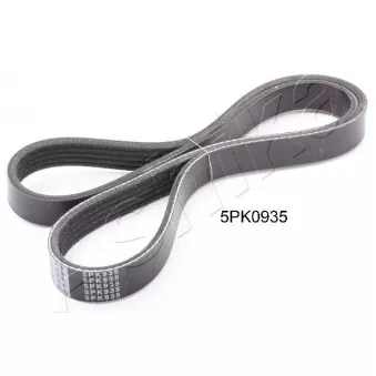 Courroie trapézoïdale à nervures ASHIKA 112-5PK935