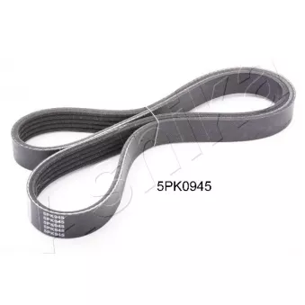 Courroie trapézoïdale à nervures ASHIKA 112-5PK945