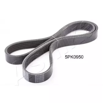 Courroie trapézoïdale à nervures ASHIKA 112-5PK950