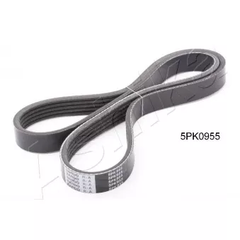 Courroie trapézoïdale à nervures ASHIKA 112-5PK955