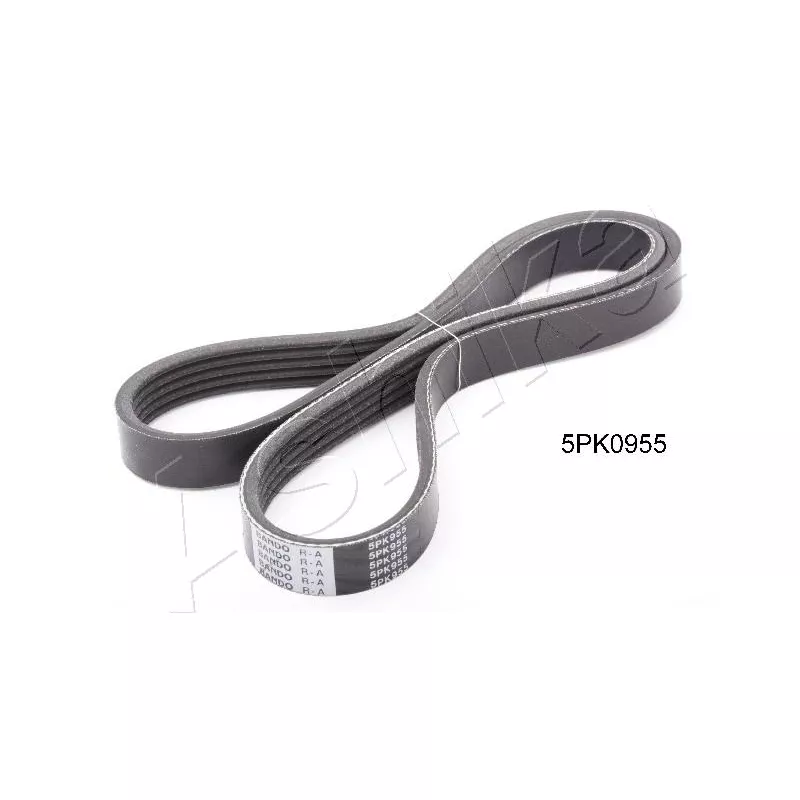 Courroie trapézoïdale à nervures ASHIKA 112-5PK955