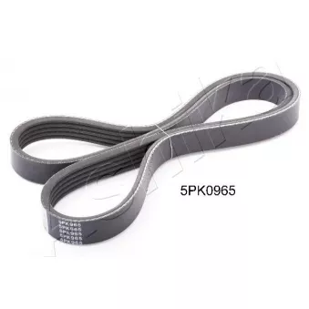 Courroie trapézoïdale à nervures ASHIKA 112-5PK965