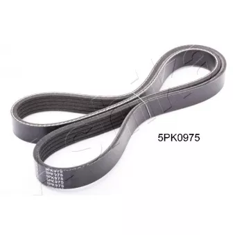 Courroie trapézoïdale à nervures ASHIKA 112-5PK975