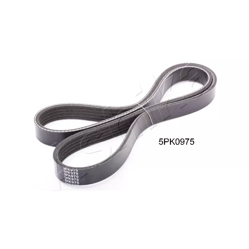 Courroie trapézoïdale à nervures ASHIKA 112-5PK975