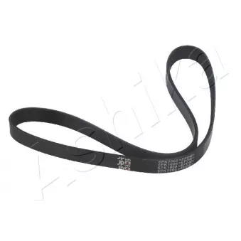 Courroie trapézoïdale à nervures ASHIKA 112-6PK1000