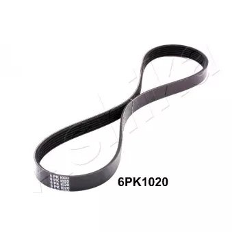 Courroie trapézoïdale à nervures ASHIKA 112-6PK1020