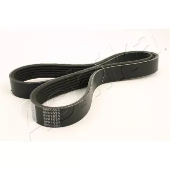 Courroie trapézoïdale à nervures ASHIKA 112-6PK1025