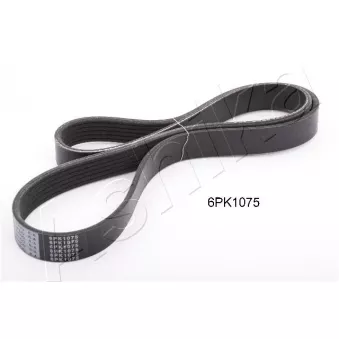 Courroie trapézoïdale à nervures ASHIKA 112-6PK1075