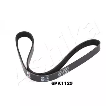 Courroie trapézoïdale à nervures ASHIKA 112-6PK1125