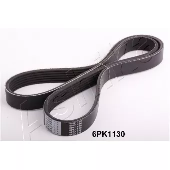 Courroie trapézoïdale à nervures ASHIKA 112-6PK1130