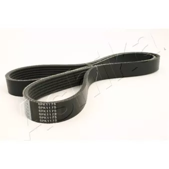 Courroie trapézoïdale à nervures ASHIKA 112-6PK1175