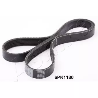 Courroie trapézoïdale à nervures ASHIKA 112-6PK1180