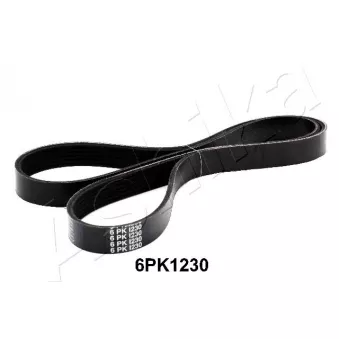 Courroie trapézoïdale à nervures ASHIKA 112-6PK1230