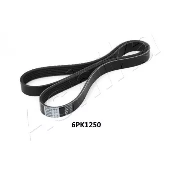 Courroie trapézoïdale à nervures ASHIKA 112-6PK1250