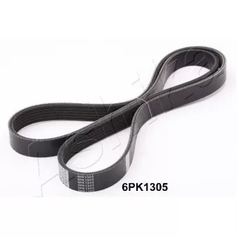 Courroie trapézoïdale à nervures ASHIKA 112-6PK1305