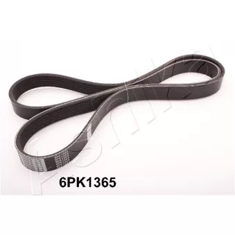 Courroie trapézoïdale à nervures ASHIKA 112-6PK1365