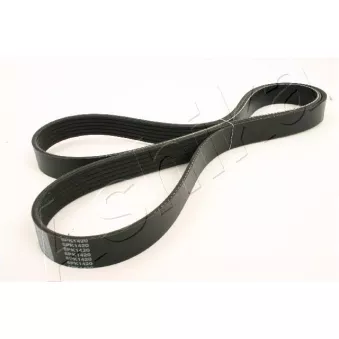 Courroie trapézoïdale à nervures ASHIKA 112-6PK1420