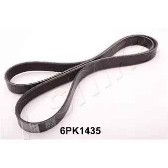 Courroie trapézoïdale à nervures ASHIKA 112-6PK1435