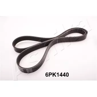 Courroie trapézoïdale à nervures ASHIKA 112-6PK1440