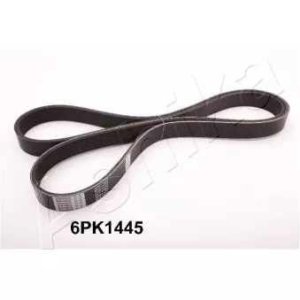Courroie trapézoïdale à nervures ASHIKA 112-6PK1445