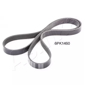 Courroie trapézoïdale à nervures ASHIKA 112-6PK1460