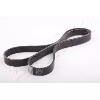 Courroie trapézoïdale à nervures ASHIKA 112-6PK1470