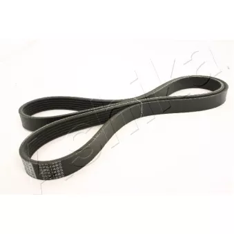 Courroie trapézoïdale à nervures ASHIKA 112-6PK1485