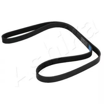 Courroie trapézoïdale à nervures ASHIKA 112-6PK1520