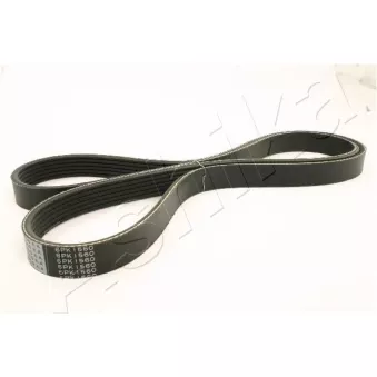Courroie trapézoïdale à nervures ASHIKA 112-6PK1560