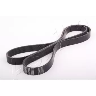 Courroie trapézoïdale à nervures ASHIKA 112-6PK1570