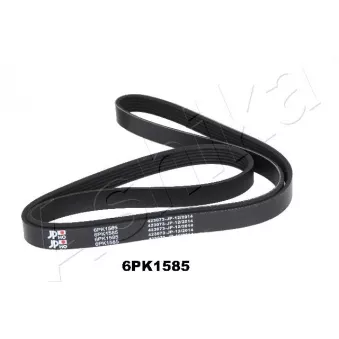 Courroie trapézoïdale à nervures ASHIKA 112-6PK1585