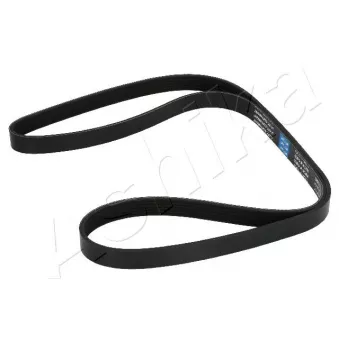 Courroie trapézoïdale à nervures ASHIKA 112-6PK1600