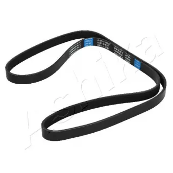Courroie trapézoïdale à nervures ASHIKA 112-6PK1605