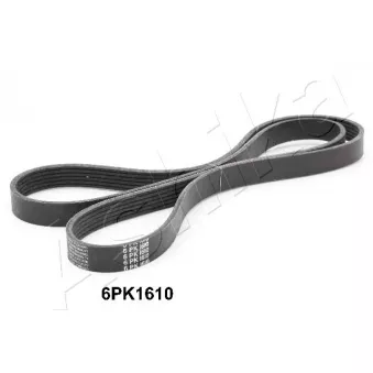 Courroie trapézoïdale à nervures ASHIKA 112-6PK1610