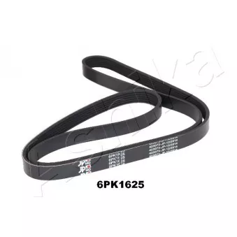 Courroie trapézoïdale à nervures ASHIKA 112-6PK1625