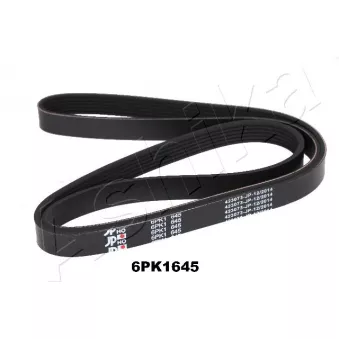 Courroie trapézoïdale à nervures ASHIKA 112-6PK1645