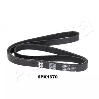 Courroie trapézoïdale à nervures ASHIKA 112-6PK1670