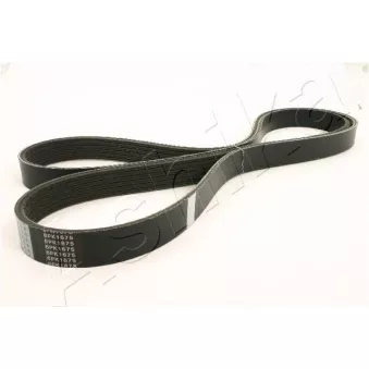 Courroie trapézoïdale à nervures ASHIKA 112-6PK1675