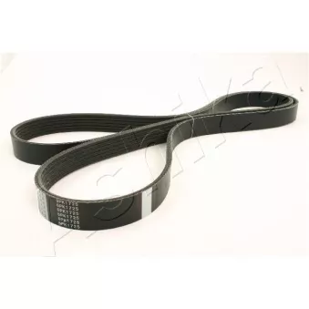 Courroie trapézoïdale à nervures ASHIKA 112-6PK1725