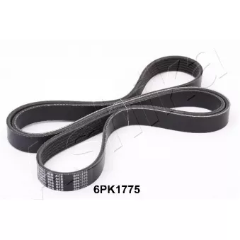 Courroie trapézoïdale à nervures ASHIKA 112-6PK1775